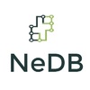 NeDB
