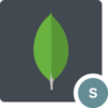 MongoDB Stitch